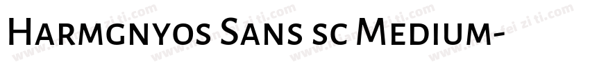 Harmgnyos Sans sc Medium字体转换